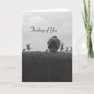 Thinking of You Pigeon Card