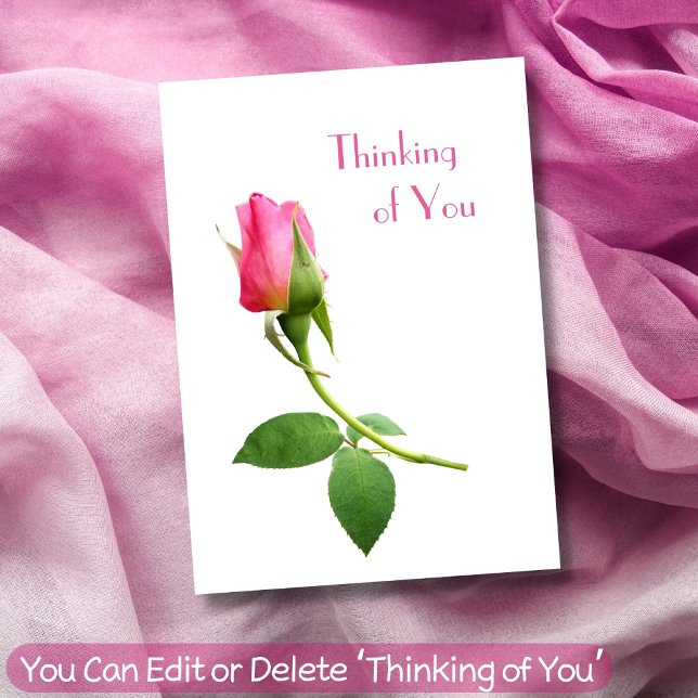 Thinking of You Pink Rose Minimalist Modern Love Card (Creator Uploaded)