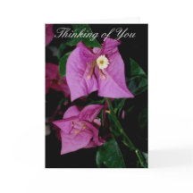 Thinking of you Poem