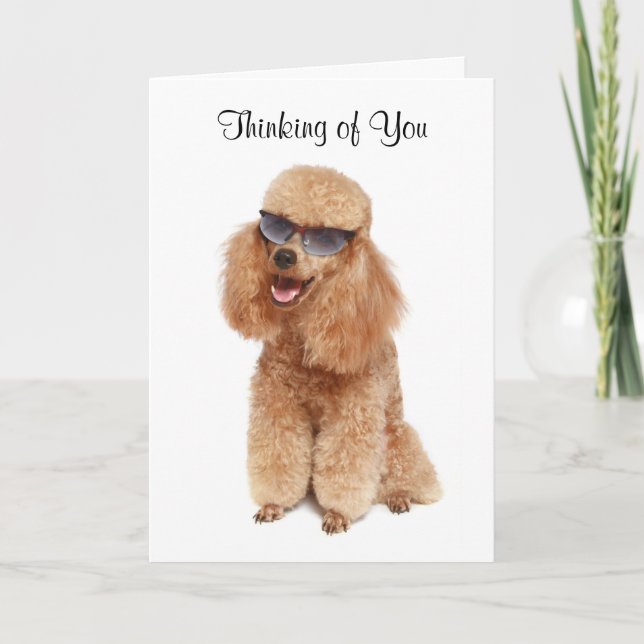 Thinking of You Poodle Greeting Card - Verse (Front)