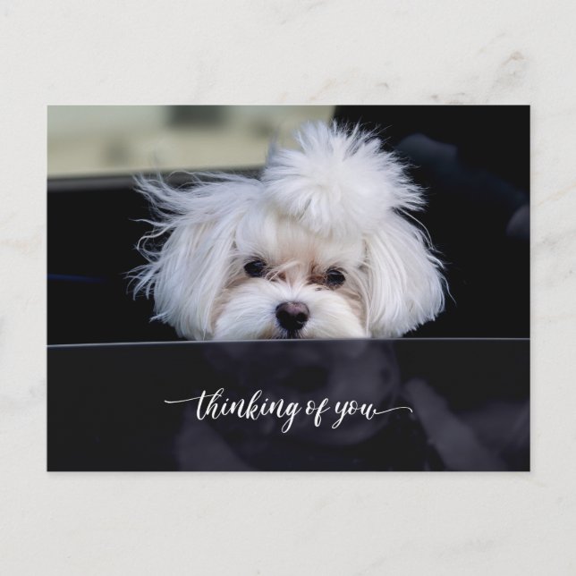 Thinking of You Post Card (Front)