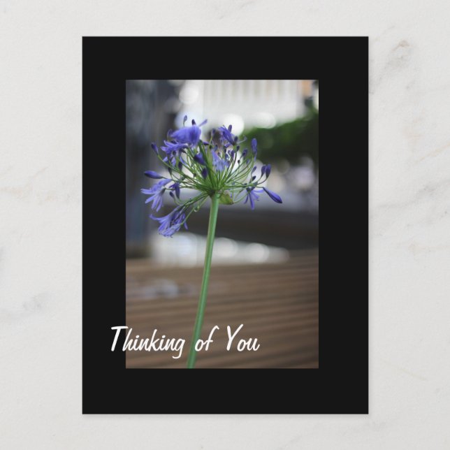 Thinking of You. Postcard (Front)