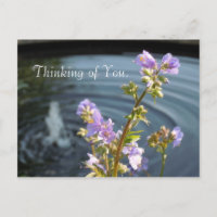 Thinking of You