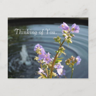 Thinking of You Postcard