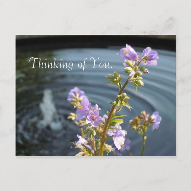 Thinking of You Postcard (Front)