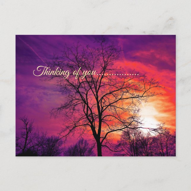 thinking of you  postcard (Front)