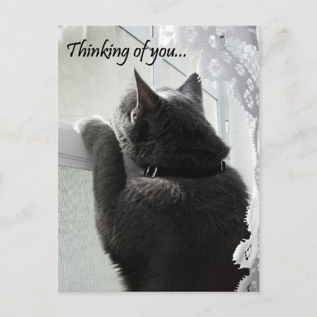 Thinking of You Postcard (Front)