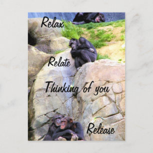 Thinking of you_ postcard