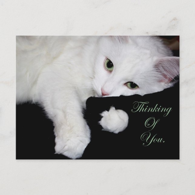 Thinking of You.. Postcard (Front)