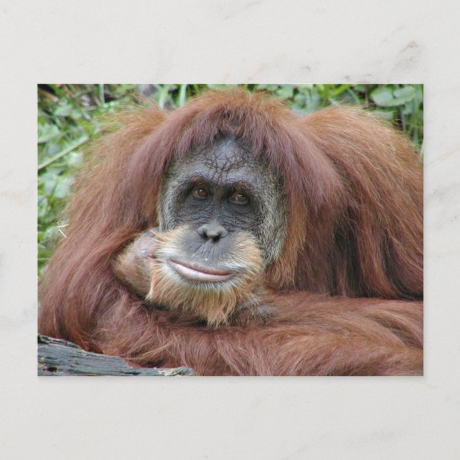 Thinking of you postcard (Front)