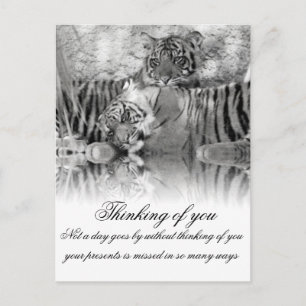 Thinking of You_ Postcard