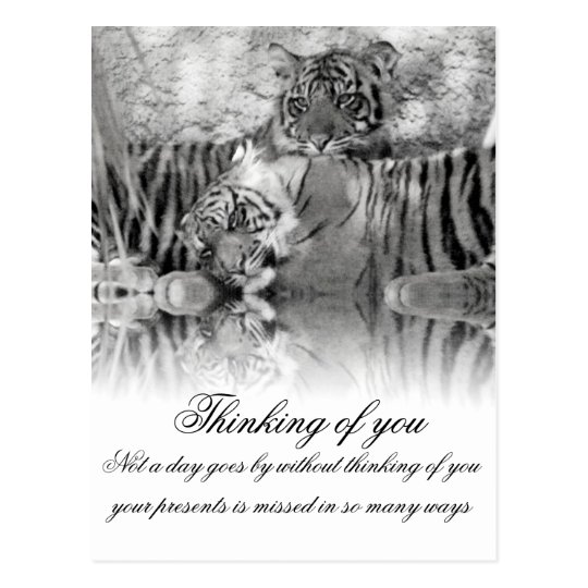 Thinking of You_ Postcard