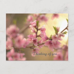 Thinking of you... postcard