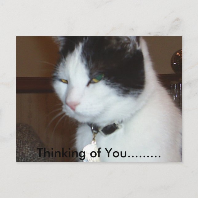 Thinking of You......... Postcard (Front)