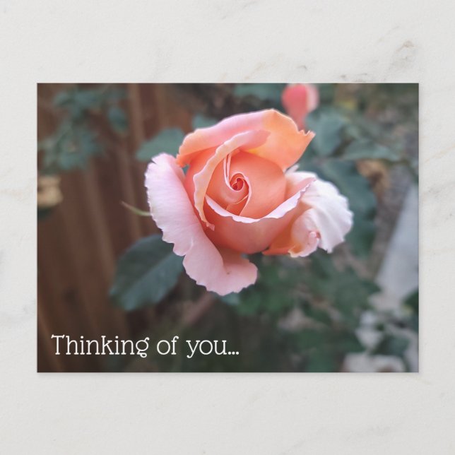 Thinking of You Postcard (Front)