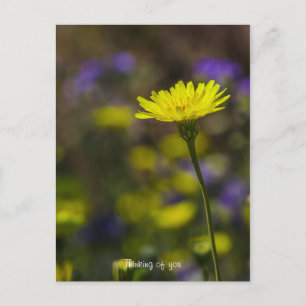 Thinking of you! postcard