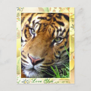 Thinking of You_ Postcard