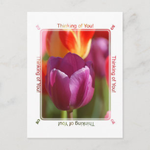 Thinking of You Postcard