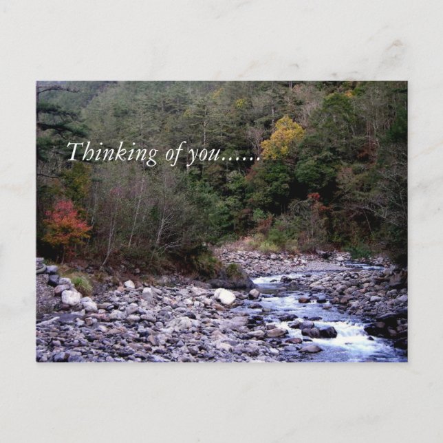 Thinking of you...... postcard (Front)