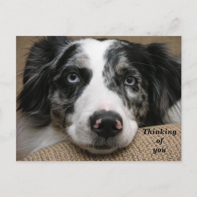 Thinking of You Postcard (Front)