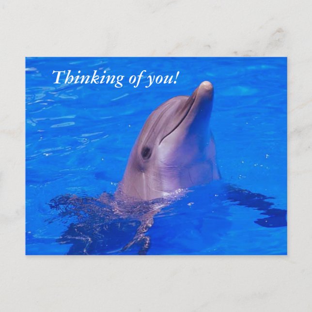 Thinking of you! postcard (Front)