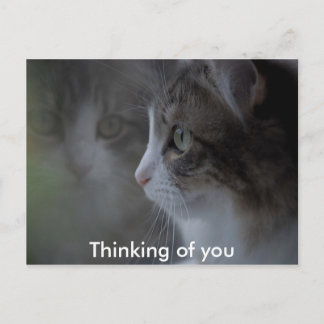 Thinking of you postcard