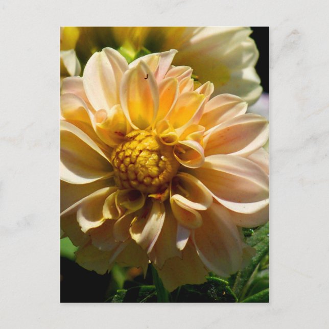 Thinking of you_ Postcard (Front)