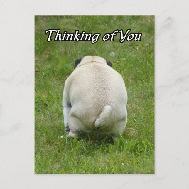 Thinking of You Pug Going the Bathroom Postcard (Front)