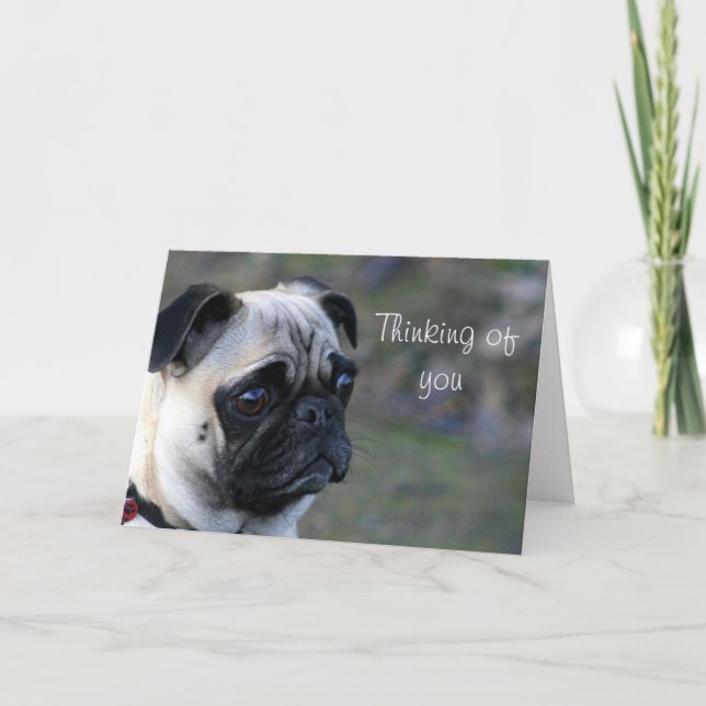 Thinking of you pug greeting card (Front)