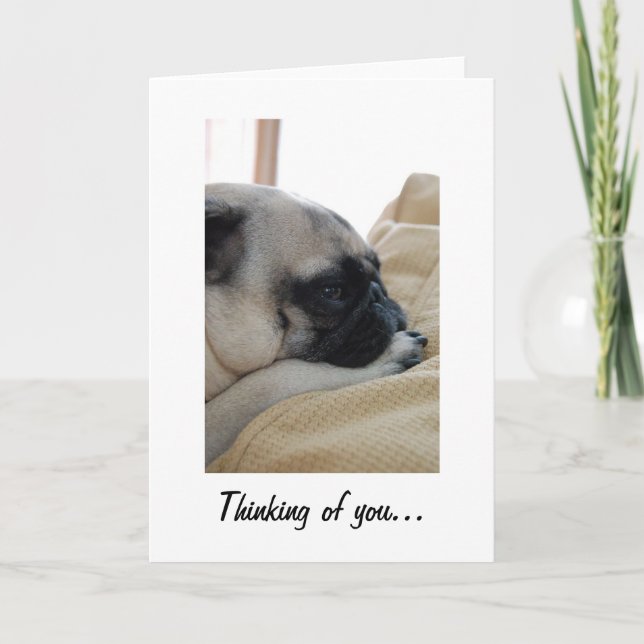 Thinking of You Pug Greeting Card (Front)