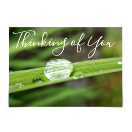 "Thinking of You" Raindrops on Grass Card