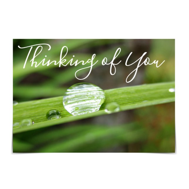 "Thinking of You" Raindrops on Grass Card (Creator Uploaded)