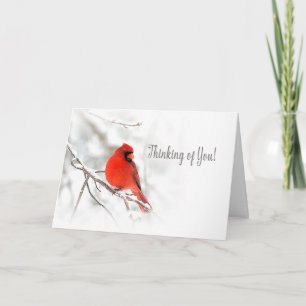Thinking of You - Red Cardinal Snow Scene Card