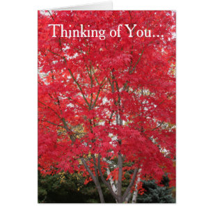 Thinking of You Red Fall Leaves Card