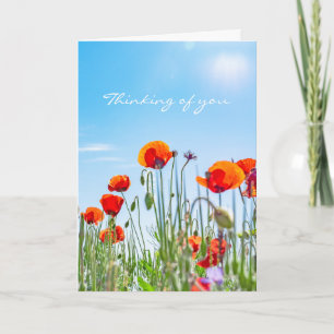 Thinking of You Red Poppy Flowers Modern Sympathy Card