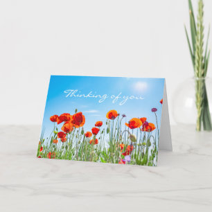 Thinking of You Red Poppy Flowers Modern Sympathy Card