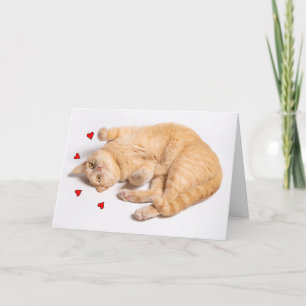 Thinking of You Romance Cute Orange Tabby Cat  Holiday Card