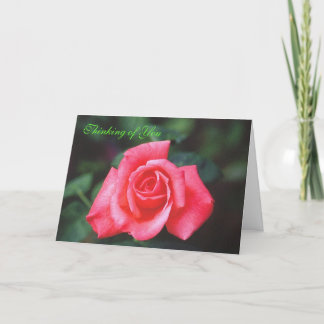 Thinking of You Rose Card