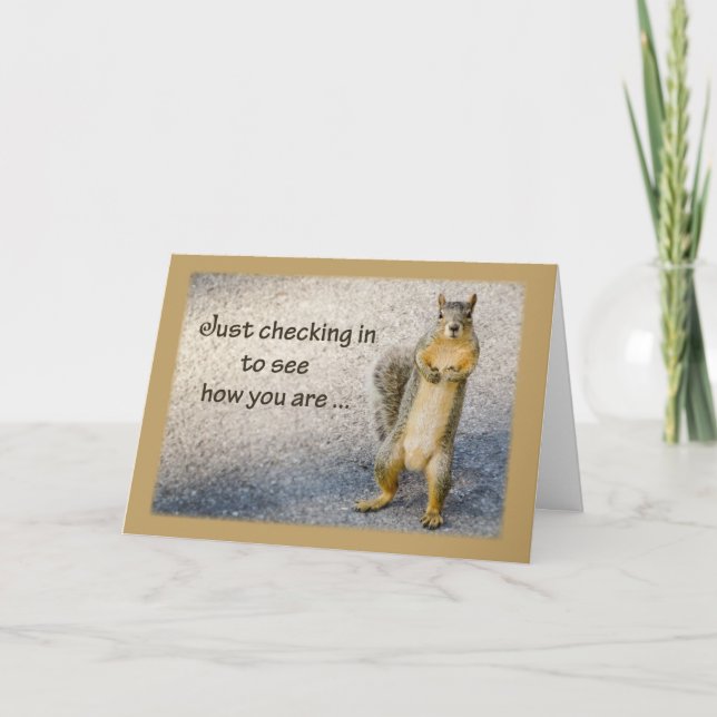 Thinking of You, Squirrel Card (Front)