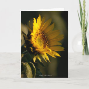 Thinking of You Sunflower Light PhotoTemplate Card