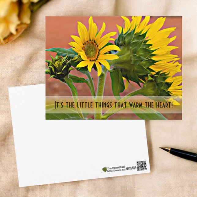 Thinking of You Sunflowers Photograph Template Postcard (front and back of sunflower photograph photocard)