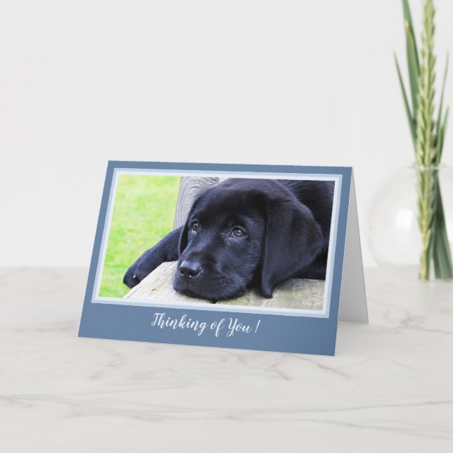 Thinking of You - Sweet Black Labrador Puppy Card (Front)