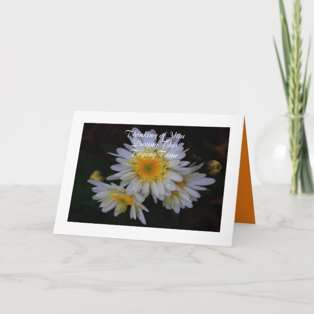 Thinking of You Sympathy Card with Mums (Front)