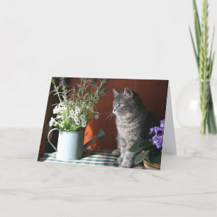 'Thinking of You', Tabby Cat  Card
