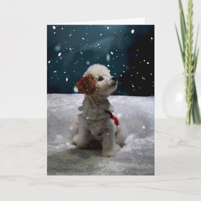 Thinking of You this Holiday Season Folded Card (Front)