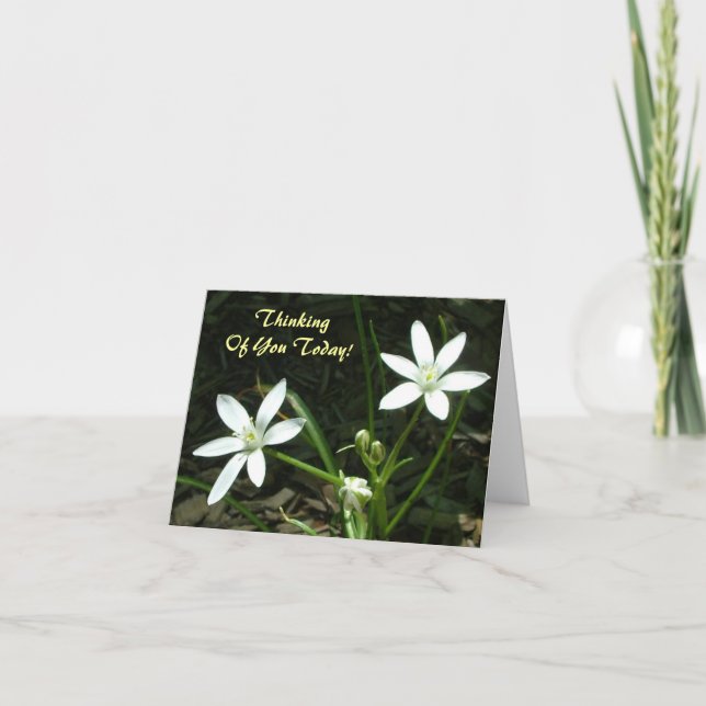 Thinking Of You Today! - Blank Inside Card (Front)