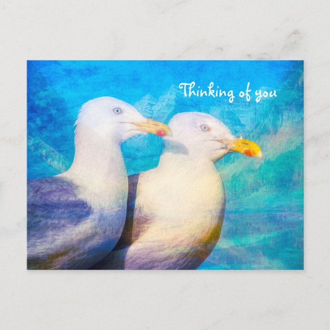 Thinking of You Two Seagulls Blue Sky Postcard (Front)