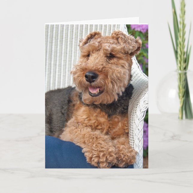 thinking of you-Welsh Terrier on wicker chair Card (Front)