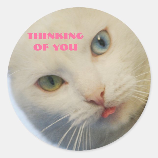 Thinking of you, white cat, green eye & blue eye classic round sticker (Front)