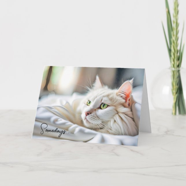 Thinking Of You White Cat In Bed Card (Front)